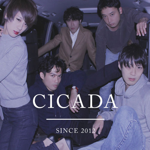 cicada